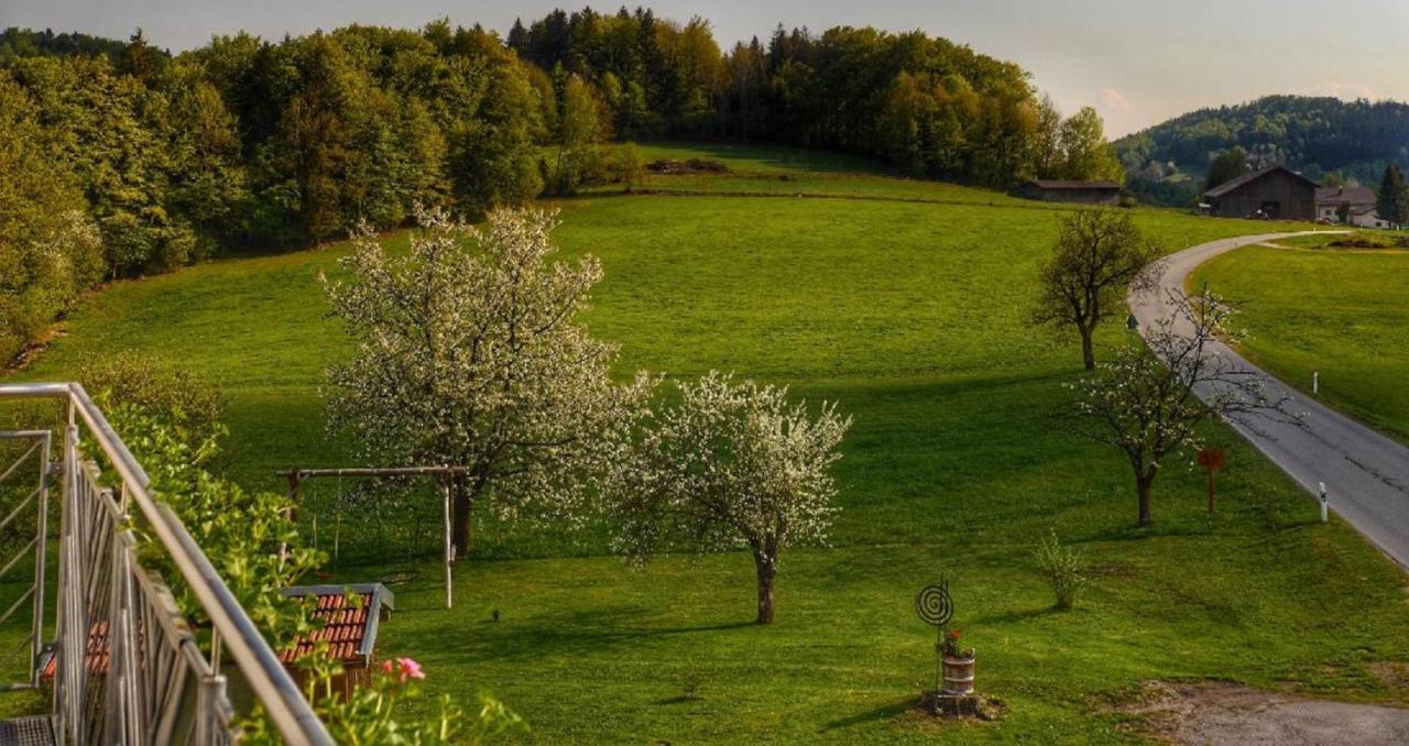 Ferienwohnung Mirtei Hohenau Екстер'єр фото